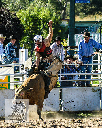 CoomaRodeo2008-265