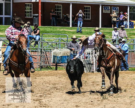 CoomaRodeo2008-146