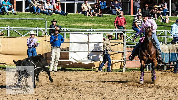 CoomaRodeo2008-257