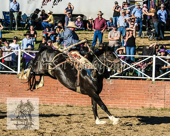 CoomaRodeo2008-303