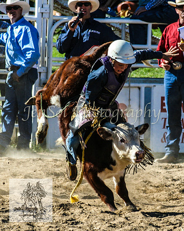 CoomaRodeo2008-255