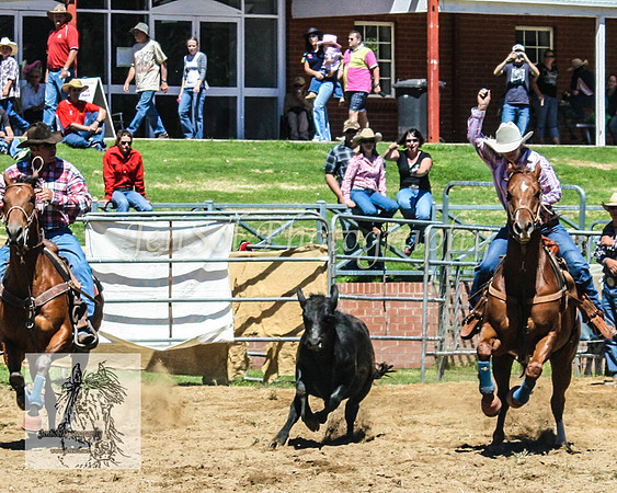 CoomaRodeo2008-145