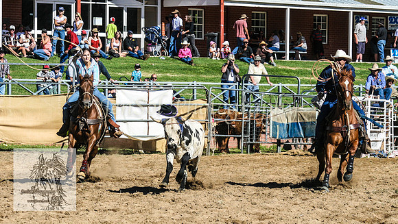 CoomaRodeo2008-229
