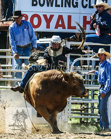 CoomaRodeo2008-180