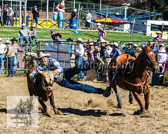 CoomaRodeo2008-236