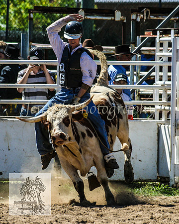 CoomaRodeo2008-163