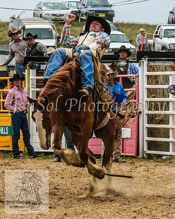 Bungendore 239