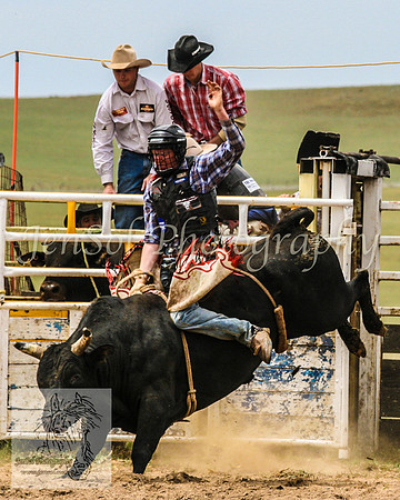 Bungendore 308