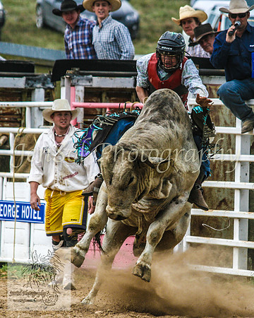 Bungendore 449