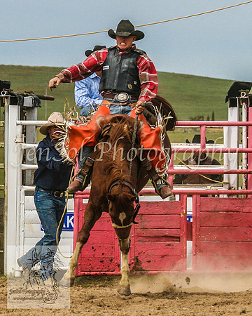 Bungendore 494