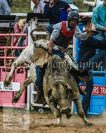 Bungendore 448