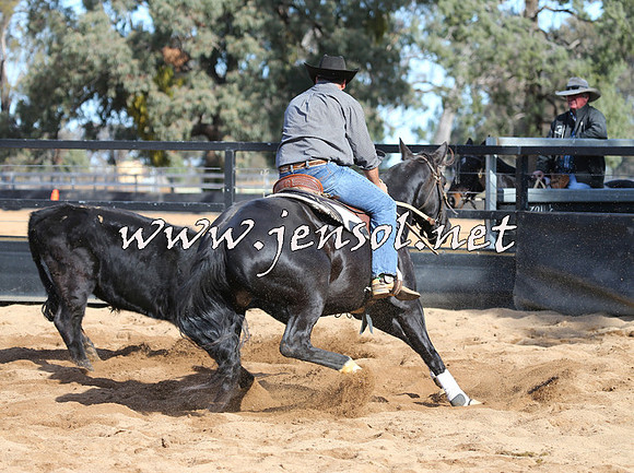 STBHTubbulCampdraft2015_1078