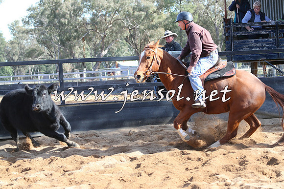 STBHTubbulCampdraft2015_1130