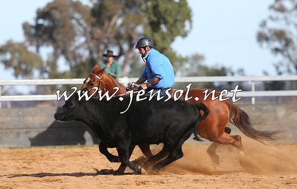 STBHTubbulCampdraft2015_1273