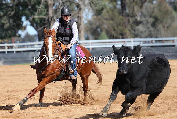 STBHTubbulCampdraft2015_0993