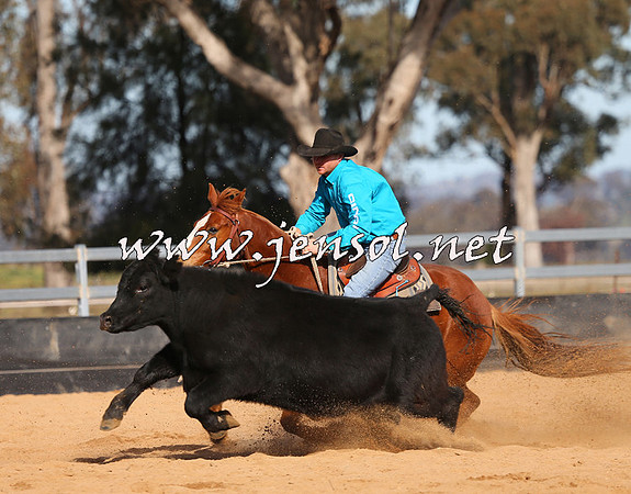 STBHTubbulCampdraft2015_1207