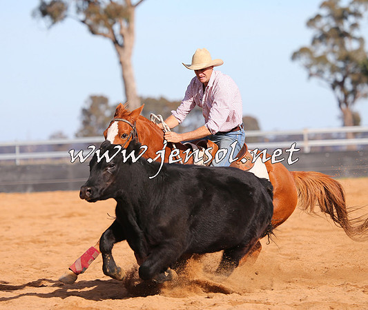 STBHTubbulCampdraft2015_1244