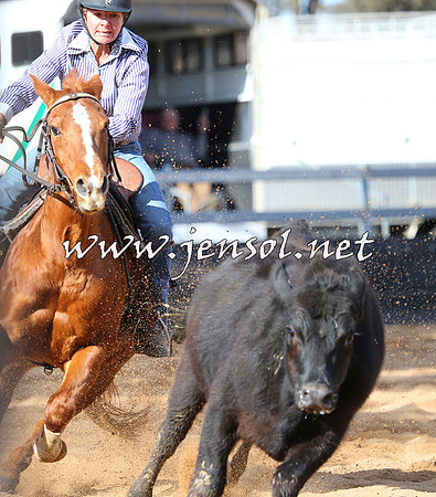 STBHTubbulCampdraft2015_1115
