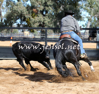 STBHTubbulCampdraft2015_1084