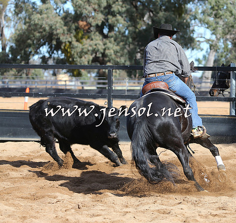 STBHTubbulCampdraft2015_1084