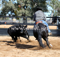 STBHTubbulCampdraft2015_1082