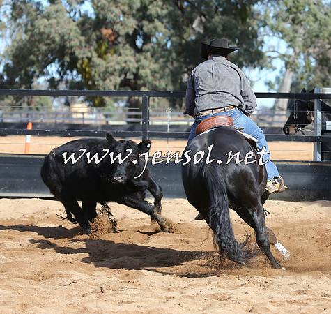 STBHTubbulCampdraft2015_1082