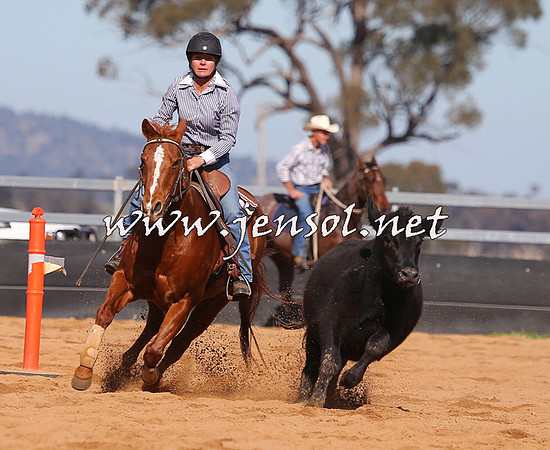 STBHTubbulCampdraft2015_1119