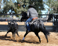 STBHTubbulCampdraft2015_1083