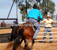 STBHTubbulCampdraft2015_1087