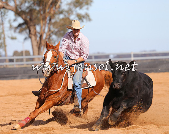 STBHTubbulCampdraft2015_1246