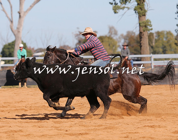 STBHTubbulCampdraft2015_1032