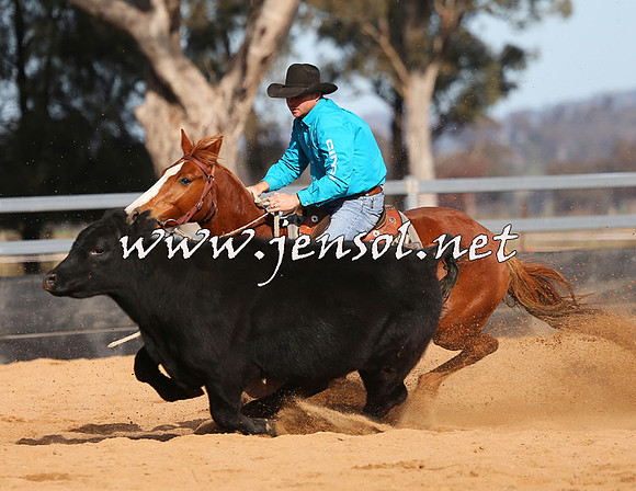 STBHTubbulCampdraft2015_1210