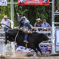 Moruya1_0339