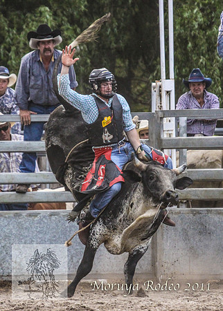 Moruya1_0754