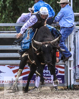 Moruya1_0251
