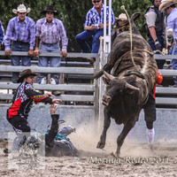 Moruya1_0649
