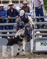 Moruya1_0117
