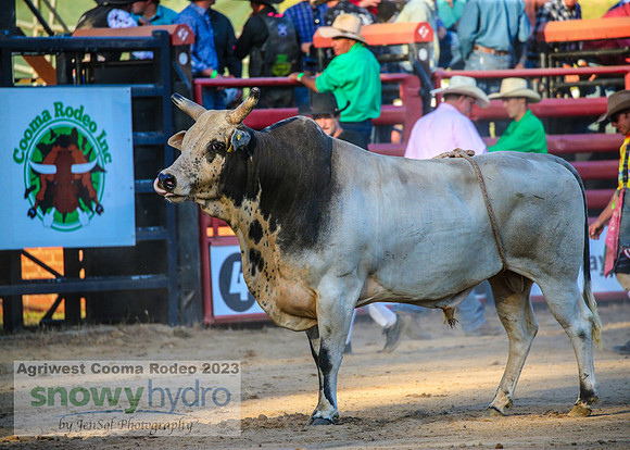 CoomaRodeo2023_0830