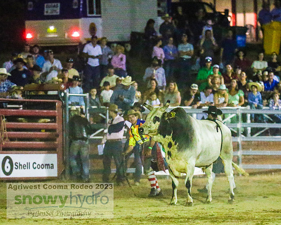 CoomaRodeo2023_2394