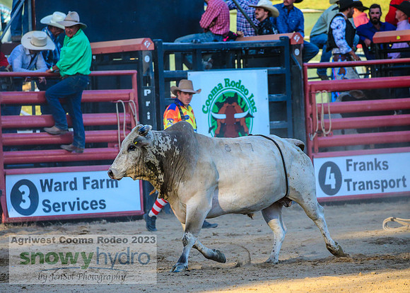 CoomaRodeo2023_1084