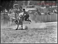 CoomaRodeo1944-4
