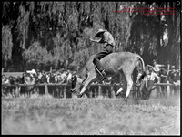 CoomaRodeo1944-7