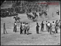 CoomaRodeo1944-9