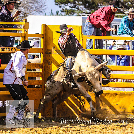 Braidwood1_0381