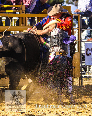Braidwood1_0999
