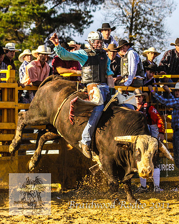 Braidwood1_0973
