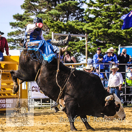 Braidwood1_0403