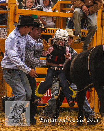 Braidwood1_2670