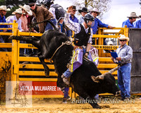Braidwood1_0326