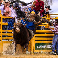 Braidwood1_0315